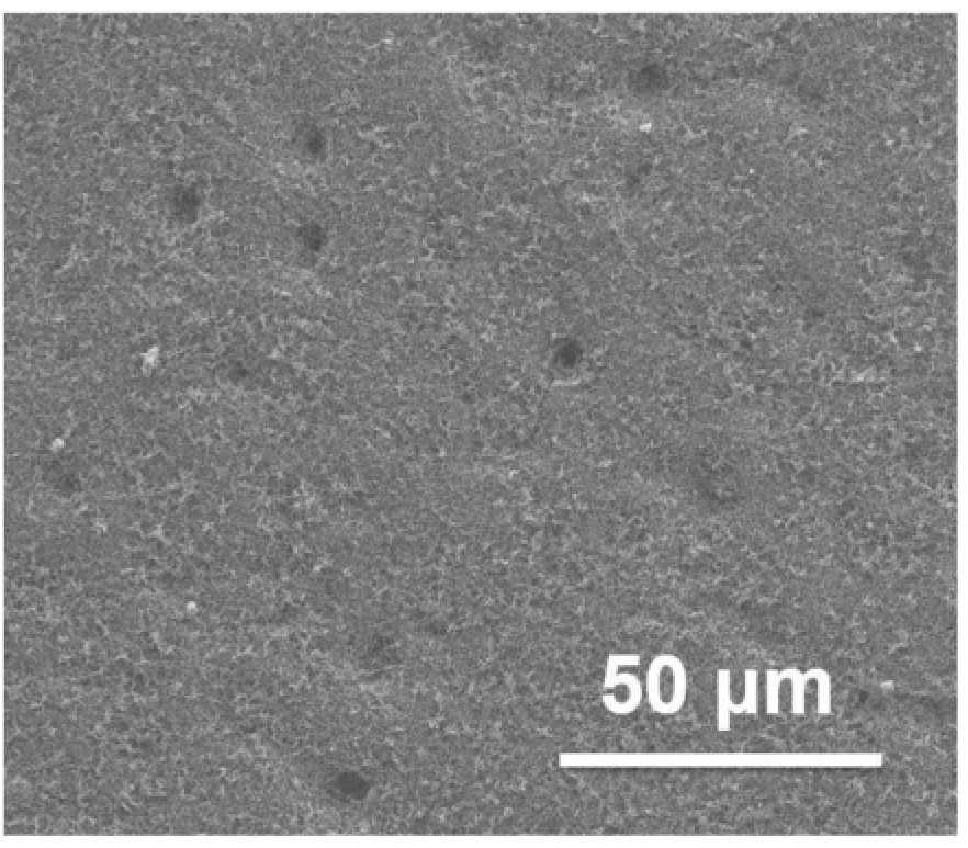 一種具有超疏水纖毛結構的復合涂層、防水垢涂覆制品及其制備方法