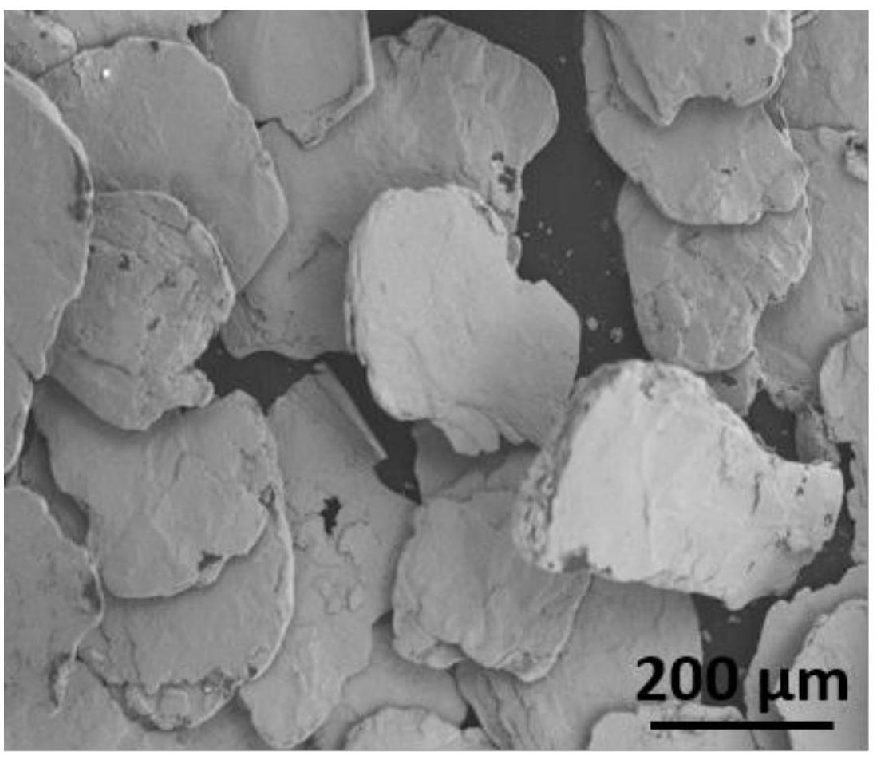 夾金屬層鱗片石墨及其制備方法和應(yīng)用