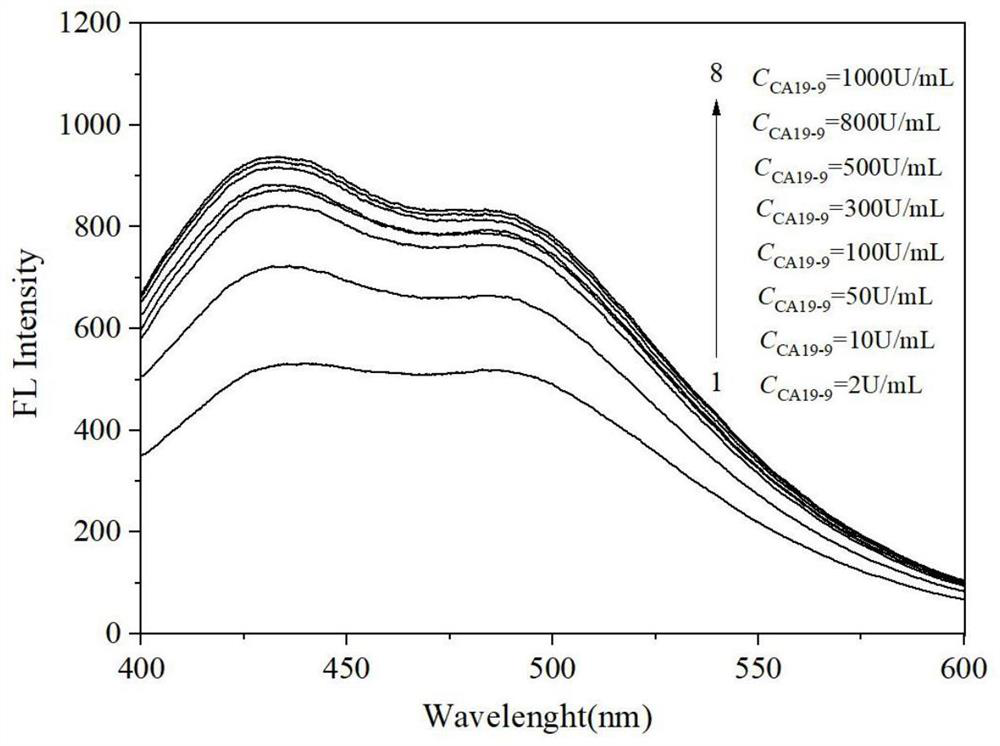 磁分離熒光增強(qiáng)型適配體傳感器檢測(cè)腫瘤標(biāo)志物CA19-9的方法