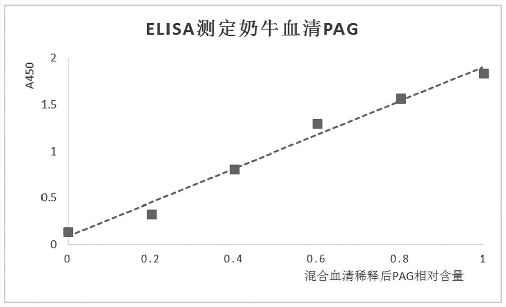 產(chǎn)生牛妊娠相關糖蛋白特異性單克隆抗體的小鼠雜交瘤細胞株、單克隆抗體、試劑盒及檢測