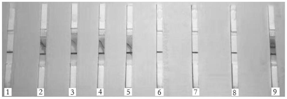 一種犬干擾素突變體重組融合蛋白及其制備方法和應(yīng)用