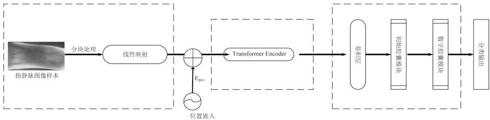 指靜脈識別模型訓練方法及識別方法、系統(tǒng)和終端