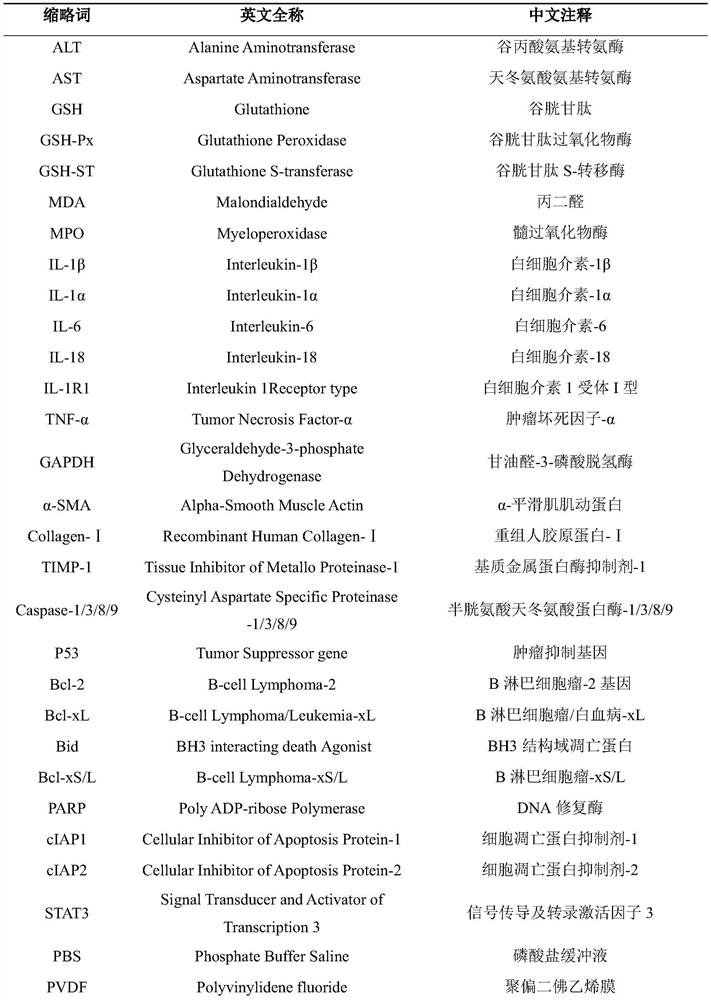 一種寒蔥飲料及其制備方法與應(yīng)用