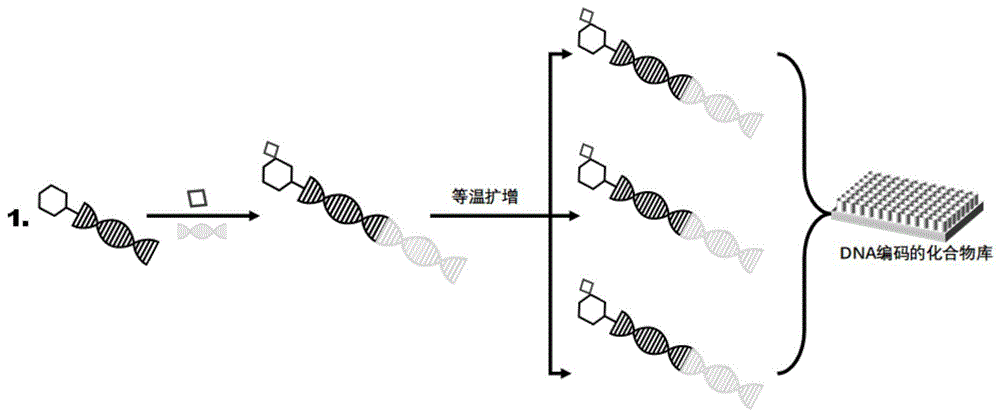 一種DNA編碼化合物庫(kù)藥物分子垂釣方法